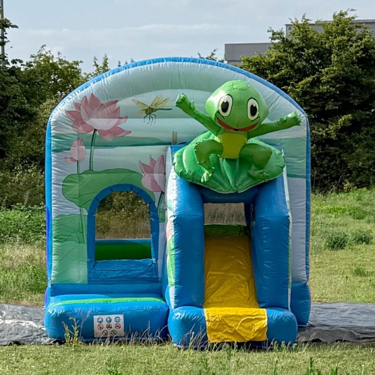 Hüpfburg mit Frosch Hoppefrosch Hüpfburg mit Frosch